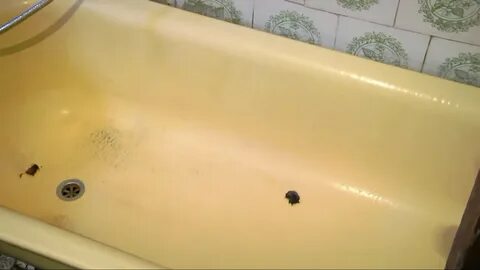 Покрытие ванн эмалью отзывы