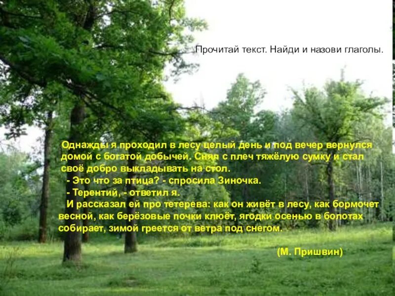 Найти текст о лесе. Текст однажды в лесу. Однажды я проходил в лесу целый день и под вечер вернулся домой. Прочитай Найди в тексте глаголы. Текст однажды в летнюю