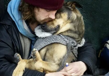 В чем проявляется любовь человека к животным