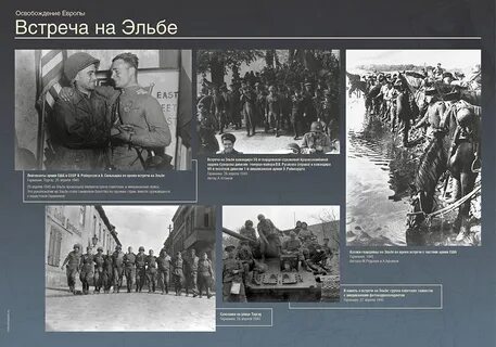 Выставка освобождение