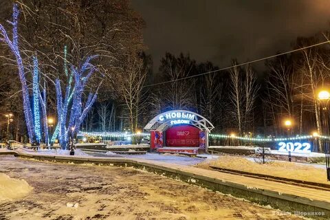 Сестрорецком парке клина