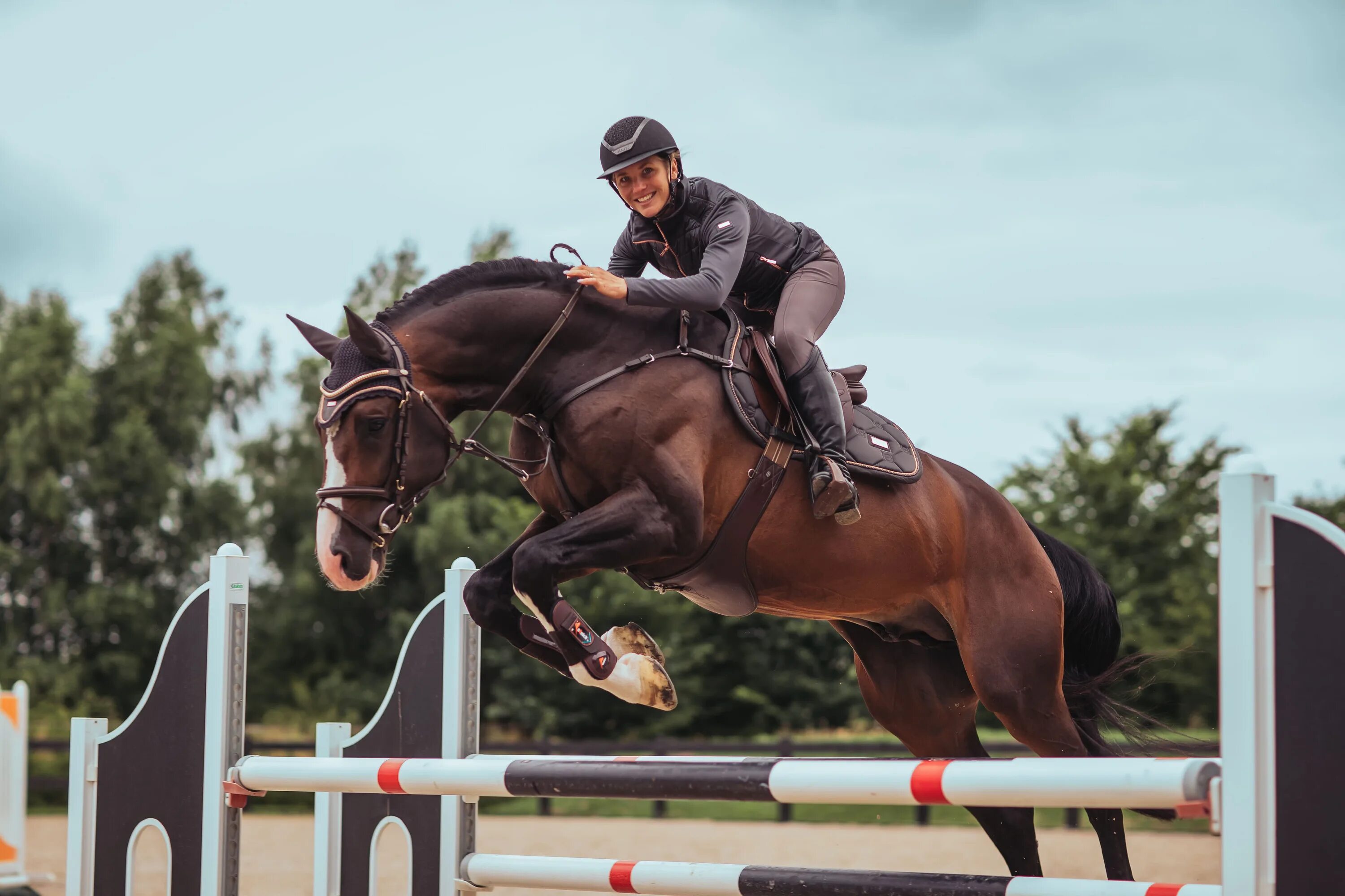 Эквестриан лошади. Эквестриан лошади. Equestrian stockholm комплект. Эквестриан лошади. Хивин эквестриан.