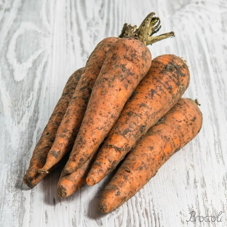 10 килограмм моркови. Морковь. Морковь немытая. Морковь грязная. Морковь местная.