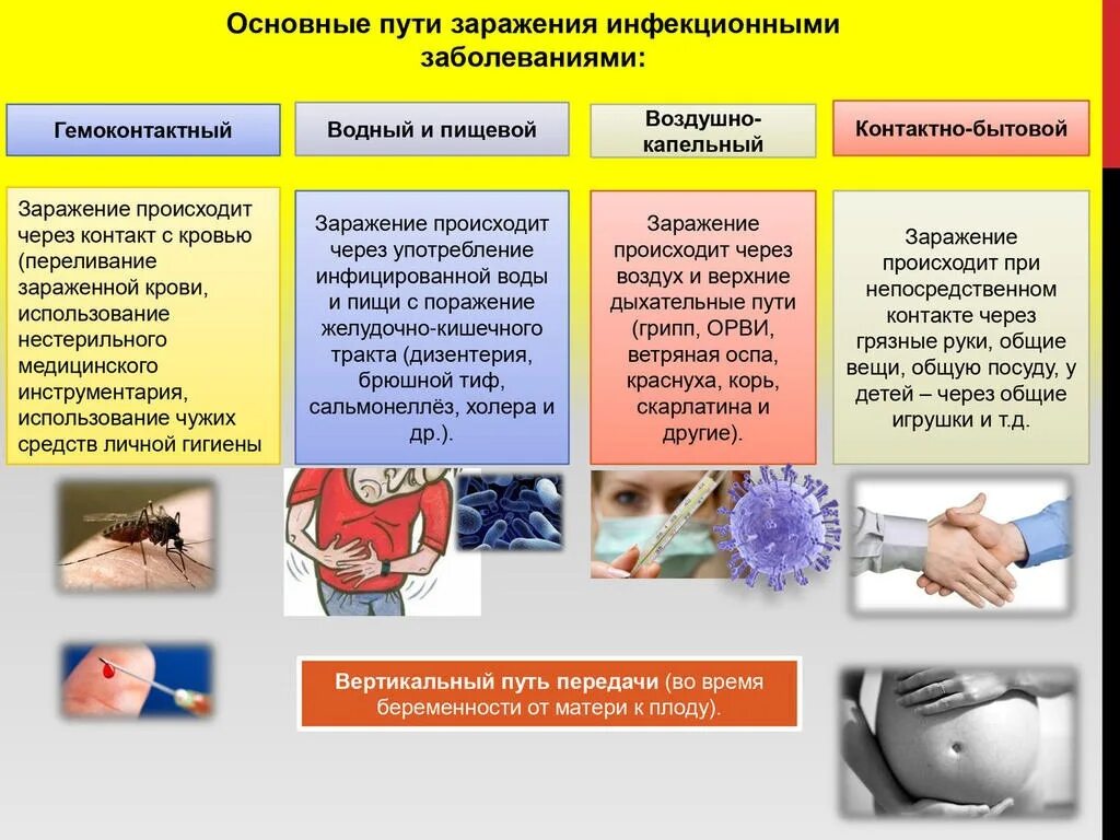 Сообщение о инфекционных заболеваниях. Основные пути заражения инфекции, болезней. Основные пути заражения инфекционными заболеваниями. Ghjaилактикаинфекционных заболеваний. Профилактика инфекционных болезней.