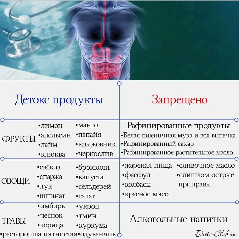 Сколько времени восстановления печени. Продукты нагружающие печень. Какие продукты способствуют восстановлению печени. Продукты которые очищают печень. Продукты для регенерации печени.