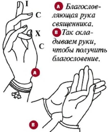Как креститься сколько пальцев. Крестное знамение благословение священника. как правильно креститься православным. кпк првтльно кремтиться. правильное крестное знамение у православных.