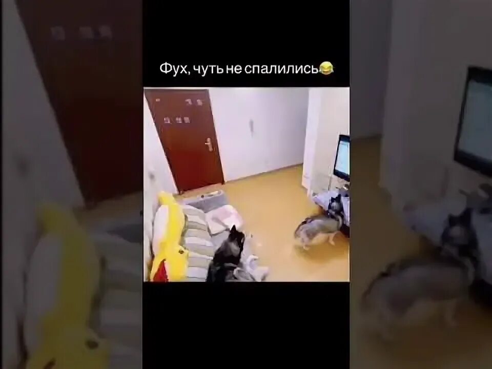 Любовь моя жена дома позже напишу. Чуть не спалились перед мужем. Чуть не спалились перед мужем. Знаменитости которые спалились. Чуть не спалились перед мужем.