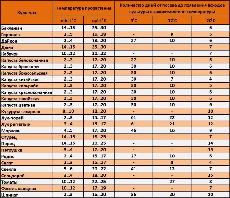 Через какое количество дней