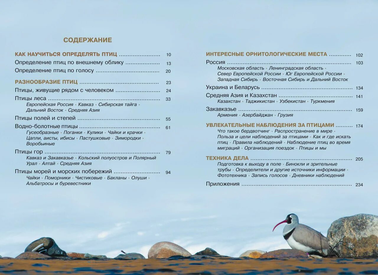 Приложение для определения птиц. Наблюдение за птицами. дневник наблюдения за птицами. наблюдение за птицами таблица. наблюдаем птиц книга.