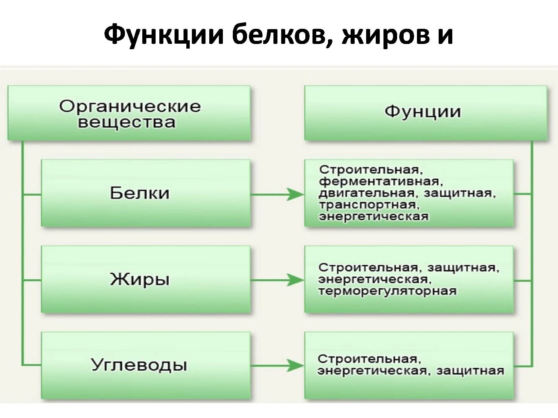 Обмен жиров белков углеводов воды. Питательные вещества белки жиры углеводы схема. Функции питательных веществ. Питательные вещества белки жиры углеводы таблица. Функции белков жиров углеводов схема.