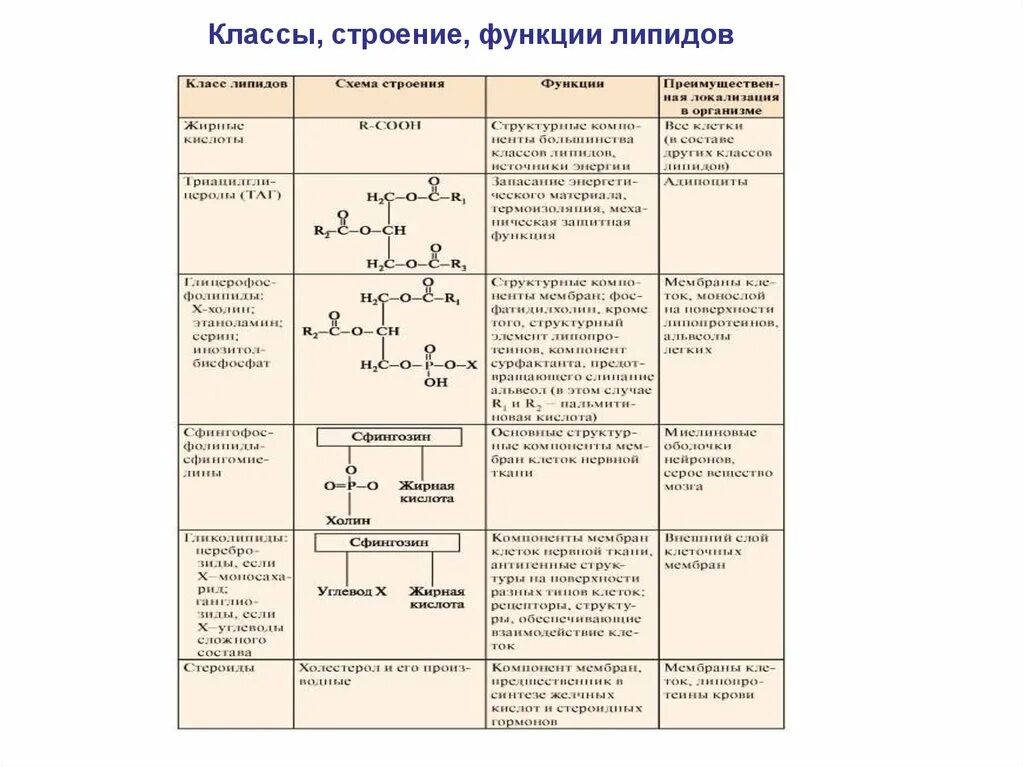 Общие функции липидов. Структура, классификация, функции липидов. Строение свойства и функции липидов таблица. Липиды строение и функции таблица. Липиды строение виды и функции.