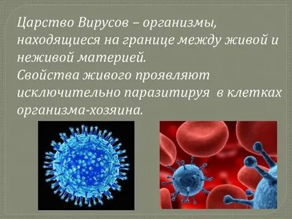 Как понять вирус или нет