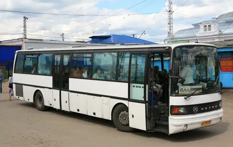 Автобус в александрове
