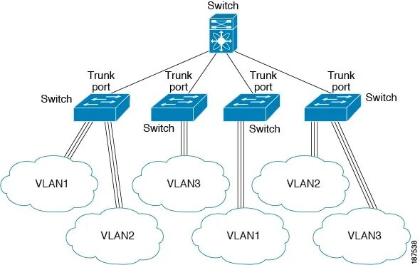 Trunk access. VLAN Trunk. Порты VLAN. Trunk access VLAN. Транк порт.