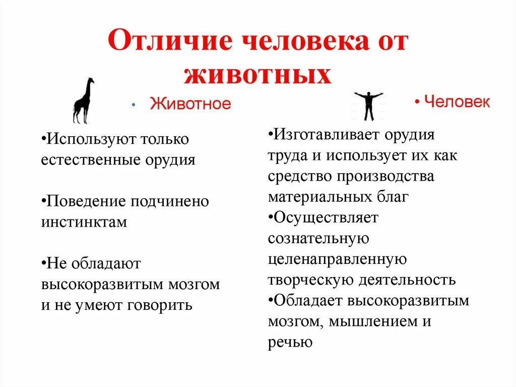 Преобразовательная деятельность животных. Отличие человека от животного обществознание 8 класс. признаки отличия человека от животных. основные отличия человека от животного обществознание кратко. чем человек отличается от животных обществознание 6.