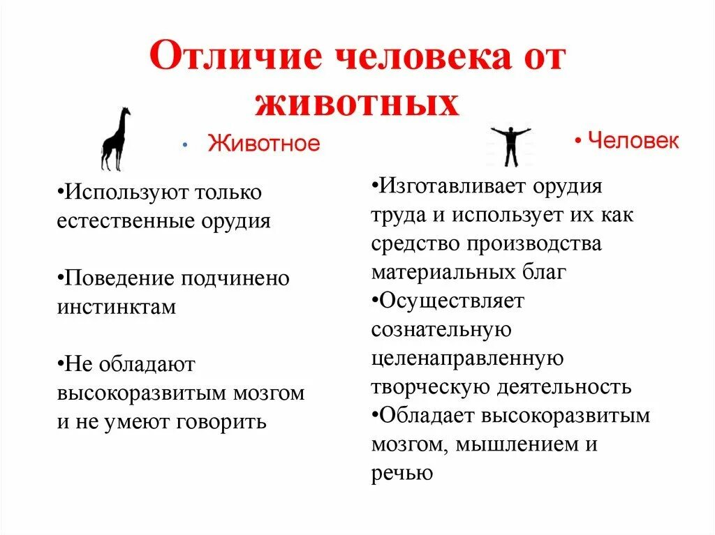 Отличается особенностью что. Отличие человека от животного Обществознание 8 класс. Признаки отличия человека от животных. Основные отличия человека от животного Обществознание кратко. Чем человек отличается от животных Обществознание 6.