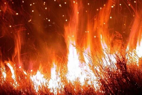 Где fire