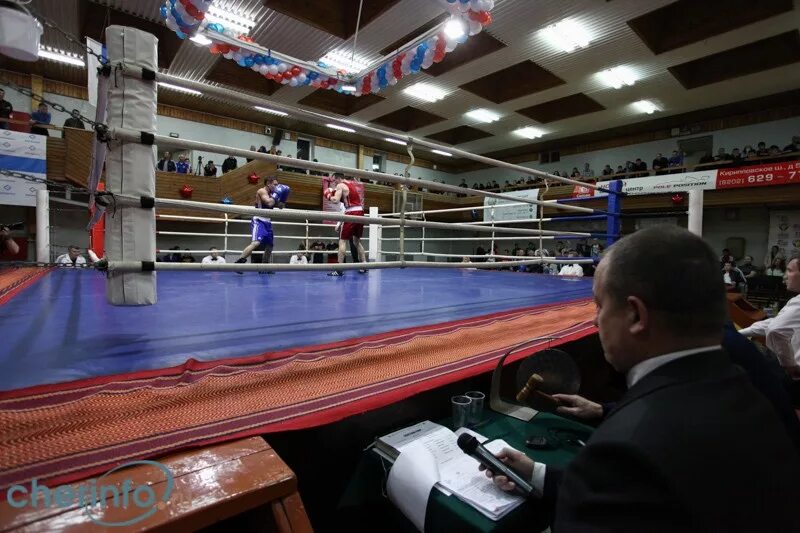 Олимп череповец. Квасников илья боксер череповец. Бокс череповец заречье. Дворец бокса олимп череповец. Олимп череповец.