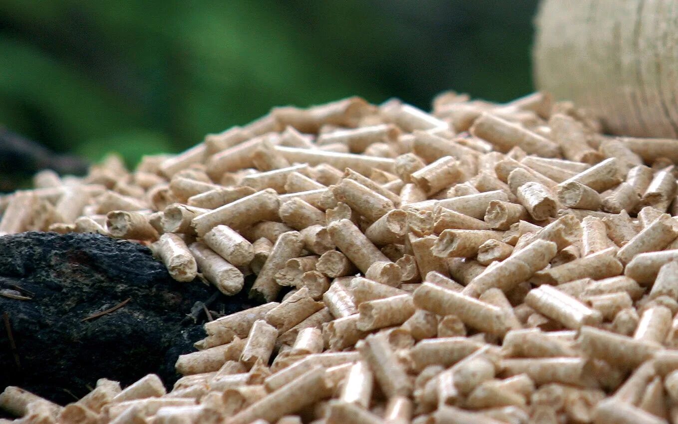 Пеллеты древесные (древесные гранулы) белые. Пеллеты Eco Pellet. Древесные топливные гранулы (пеллеты). Биотопливо пеллеты.