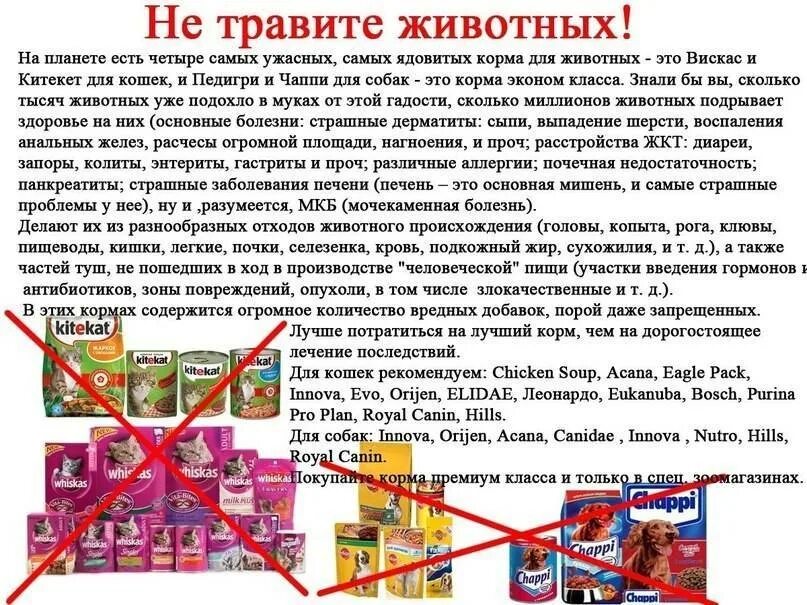Можно ли давать разные. Какими кормами нельзя кормить кошек. какой корм нельзя давать кошкам. какие корма нельзя давать кошкам. чем нельзя кормить котов.