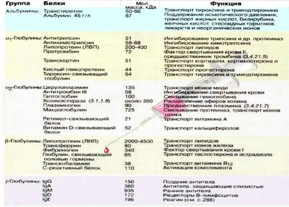 Состав белков плазмы крови входят. Белки плазмы крови биохимия функции. Фракции белков плазмы крови биохимия. Белковые фракции плазмы крови и их функции.. Белки плазмы крови биохимия таблица.