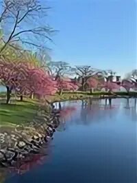 Cambridge path