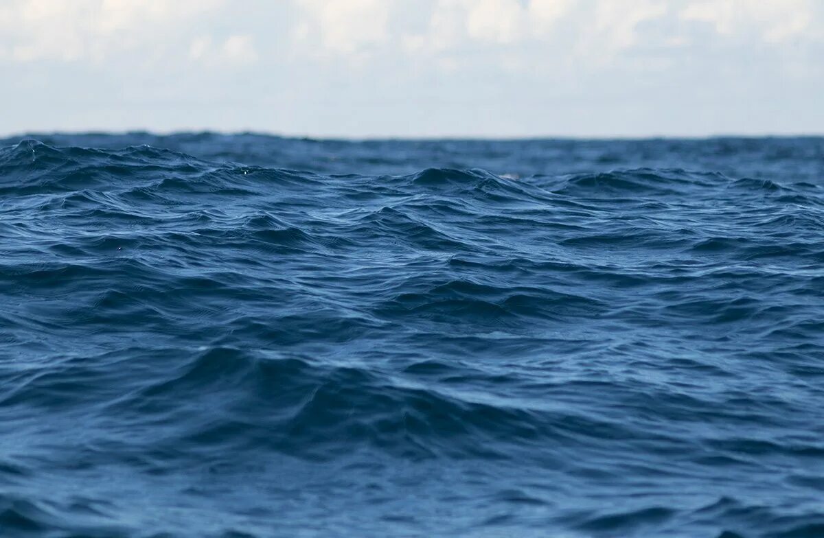 Малый полосатик в Баренцевом море. Открытое море. Синий океан название. Искупаться в океане. Новый океан название