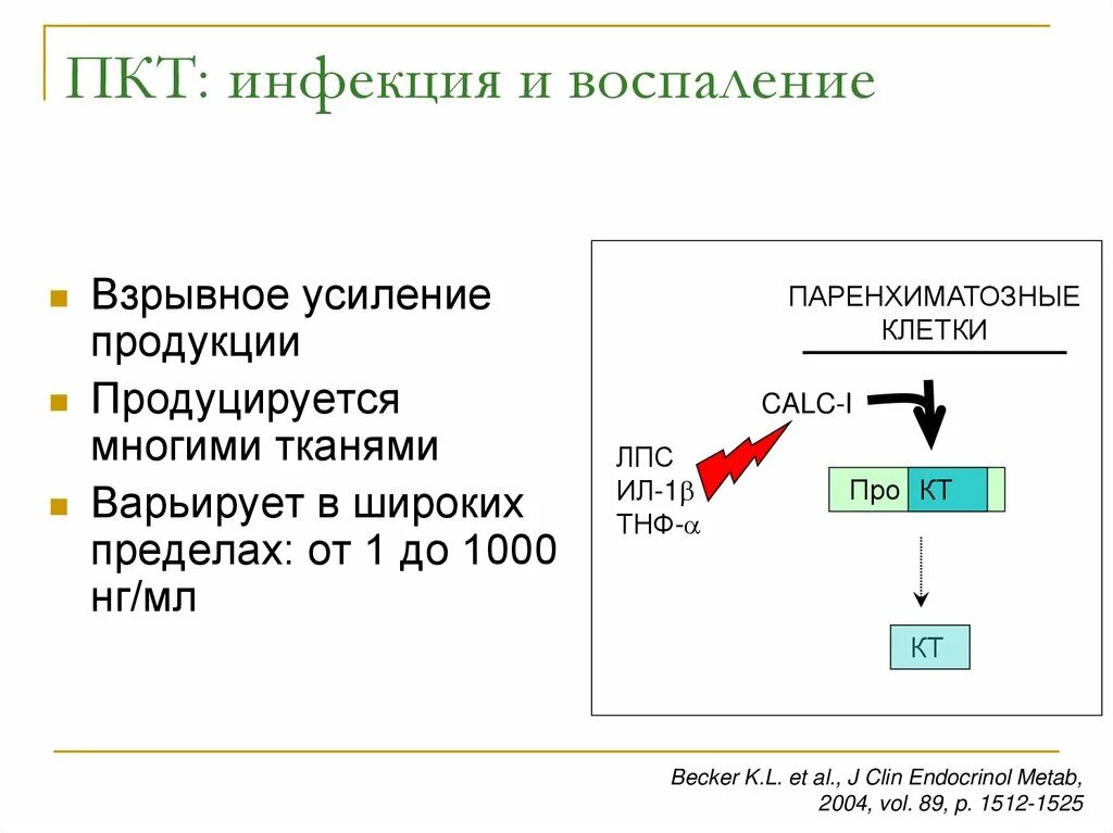 Послекурсовая терапия ПКТ. После курсовая терапия. ПКТ расшифровка. ПКТ Результаты.