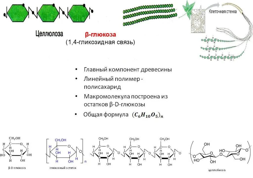 Целлюлоза вода глюкоза. Полисахариды биохимия Целлюлоза. Полисахариды крахмал гликоген Целлюлоза. Целлюлоза биохимия строение. Целлюлоза линейный полисахарид.