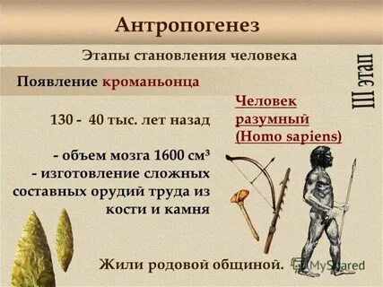 Какую роль в сохранении античного