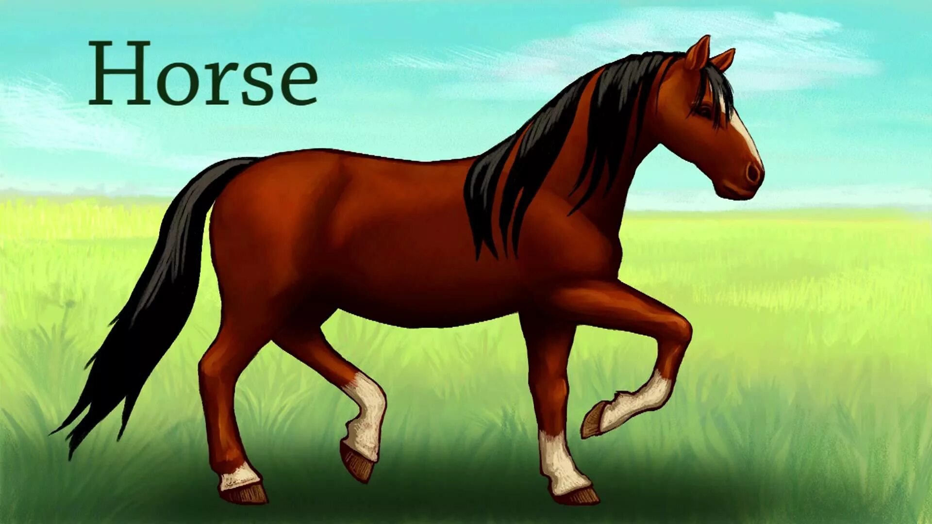 Лошадь карточка по английскому для детей. Лошадь с надписью. Лошадь на англ. Лошадь по английскому. Части тела лошади названия.