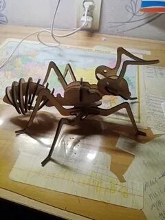 Допустим у друга взял