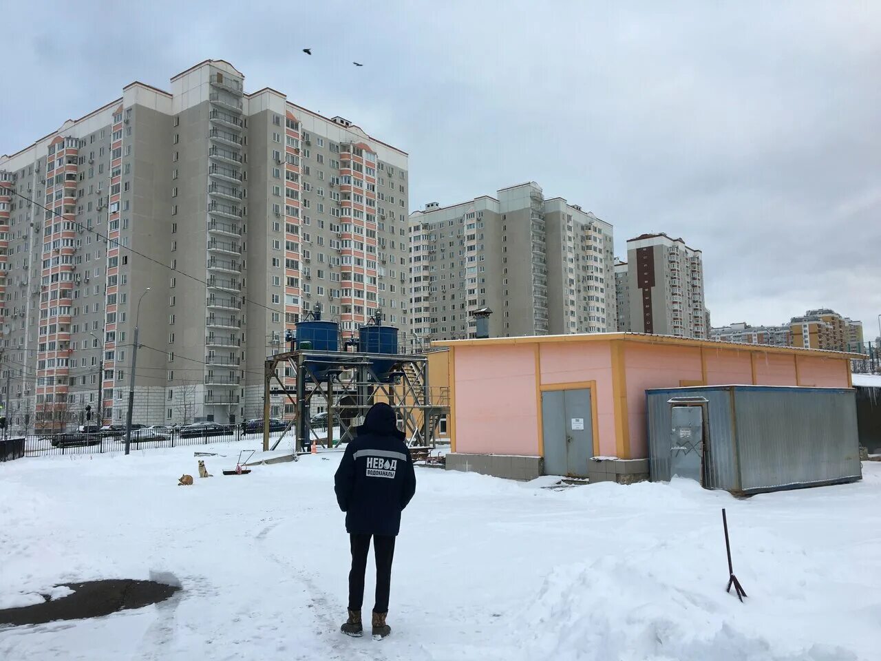 Поселение Внуковское Солнцево парк. Микрорайон Солнцево Москва. Микрорайон Солнцево парк. Солнцево парк 2016.