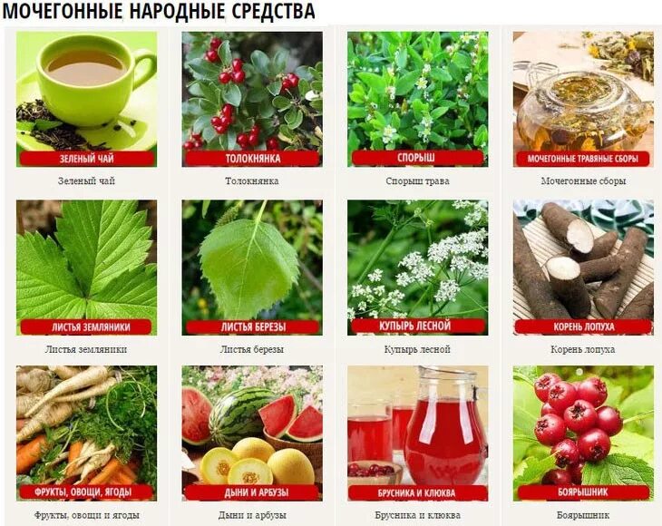 Мочегонные продукты. Мочегонные средства. Мочегонное народное средство. Народные мачегонныемсредства. Что попить мочегонное