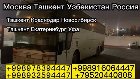 Новосибирск ташкент расписание