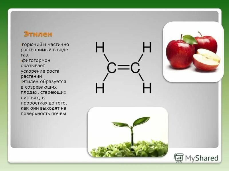 абсцизовая кислота гормон растений который. галактозидаза галактоза. индолилуксусная кислота формула. фитогормоны растений гиббереллины. индолил формула.