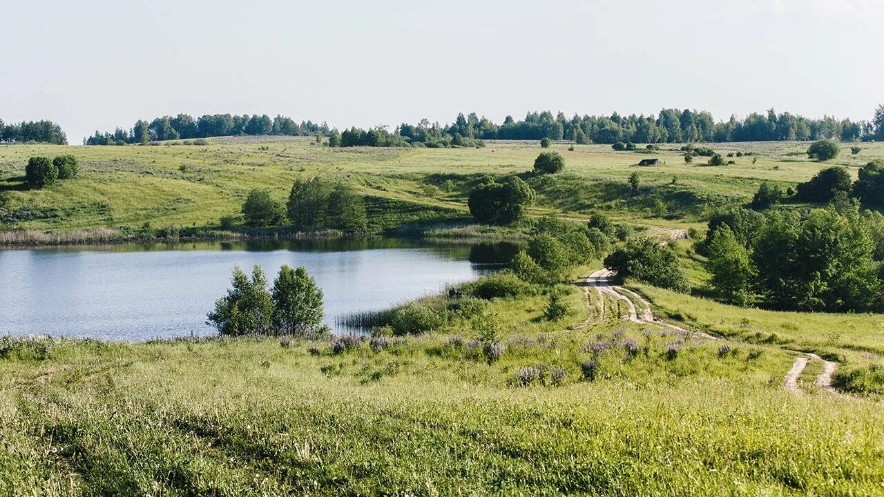 Погода монастырщина воронежской области. Село Монастырщина Богучарского района. Река Вихра Монастырщина. Село Монастырщина Воронежской области. Река Дон Монастырщина.