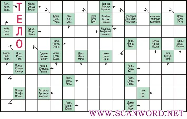 Кроссворды для взрослых. Сканворд. Сканворд пример. Сканворды с ответами.