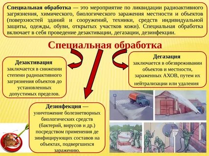 Назовите виды специальной обработки