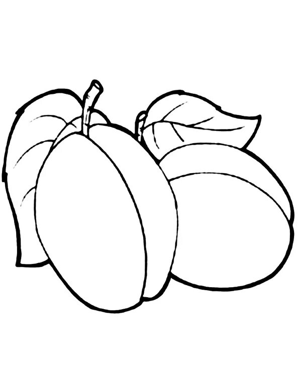 Абрикос раскраска для детей. Раскраска абрикос. Абрикос раскраска. Фрукты слива раскраска для детей. Слива раскраска.