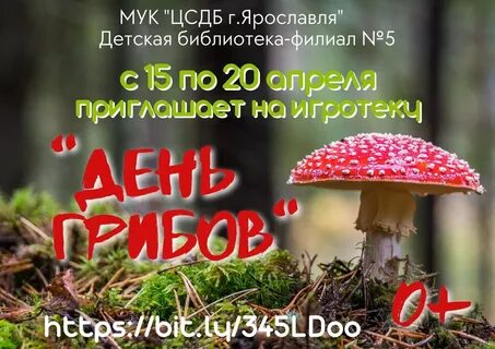Когда будет день гриба