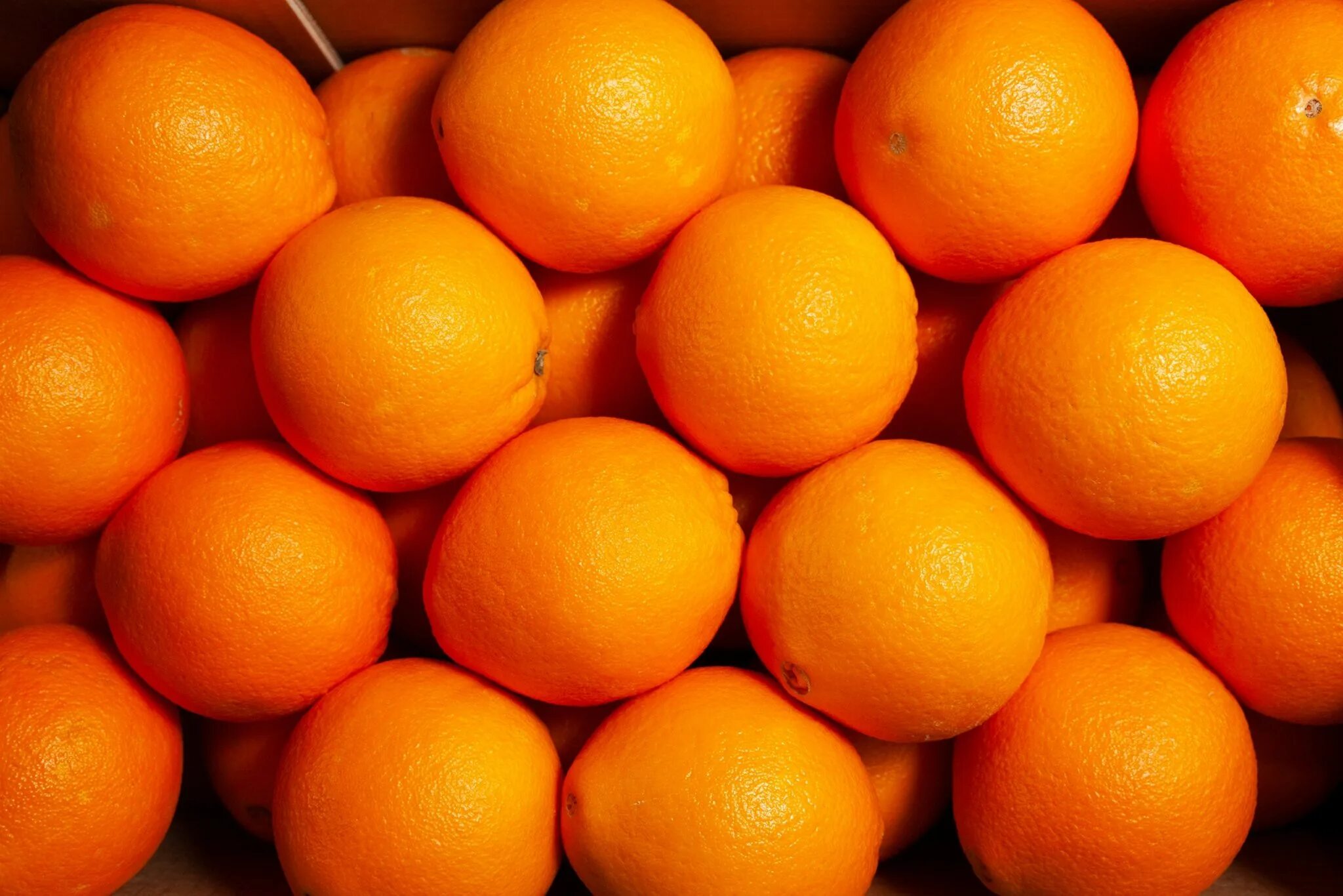 They like oranges. Померанец цвета оранж. Оранжевый цвет. Ярко оранжевый. Ярко оранжевый цвет.