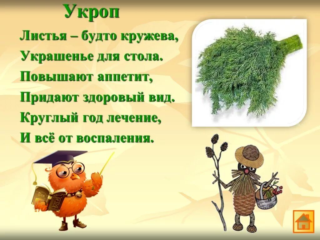 Ответ укропу. Загадка про укроп для детей. Презентация на тему зеленая аптека. Стих про укроп. Зеленая аптека для дошкольников.