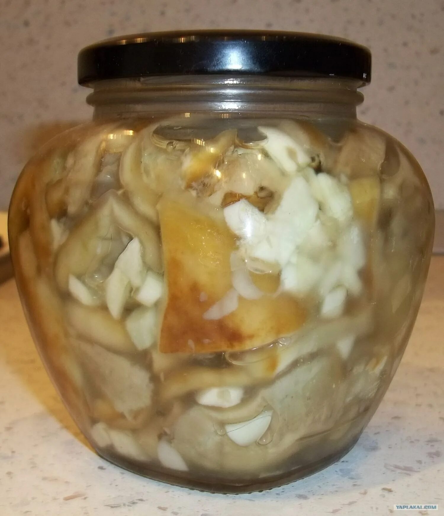 грибы грузди соленые. волнушки грузди соленые. грузди соленые горячим способом. грибы грузди соленые. солим грузди простой.