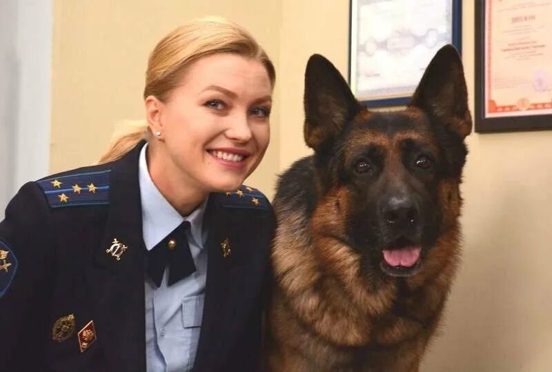 Светлана сериал возвращение мухтара. Александр носик возвращение мухтара. Возвращение м. Возвращение мухтара сериал. Возвращение м.