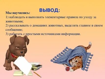 Домашние животные вывод