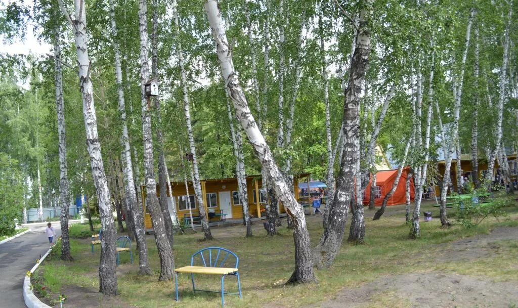 Дол ветерок касарги челябинская область. Лагерь в челябинске. Детский лагерь «ветерок» (орловский район). Детский лагерь ветерок касарги челябинск. Орл обл лагерь ветерок.