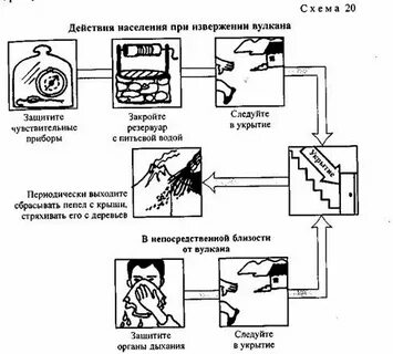 Поведение во время извержения вулкана