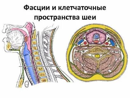 Клеточные пространства