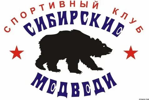 Медведь новороссийск